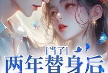 《当了两年替身后,我跑路了》小说大结局免费试读 时柒陆淮年小说-推书酱