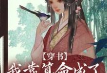 完整版小说《穿书:我靠算命成了修真界万人迷》免费阅读-推书酱