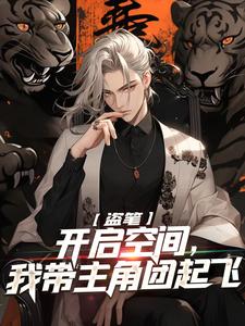 盗笔：开启空间，我带主角团起飞免费阅读，盗笔：开启空间，我带主角团起飞章节目录