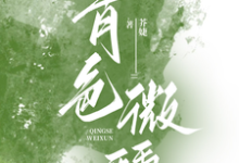 青色微醺傅青隐宋政小说在线章节免费阅读-推书酱