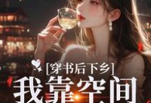 《穿书后下乡，我靠空间躺平咯》小说免费阅读完整版-推书酱