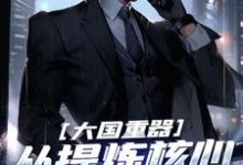 小说《大国重器：从提炼核心技术开始》章节免费阅读-推书酱