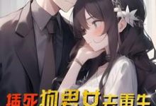 刘洛苏月瑶小说免费阅读完整版-推书酱