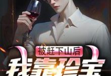 求被赶下山后，我靠珍宝登上巅峰小说免费资源-推书酱
