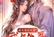 完结版《前夫宠妾灭妻?我与他哥入帐欢》章节阅读-推书酱