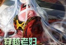 完结版《穿越老妇:我累了,求躺平!》章节阅读-推书酱