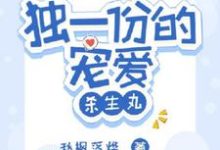 烛衍小说完整版《独一份的宠爱【杀生丸】》免费阅读-推书酱