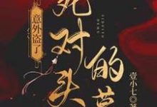 意外盗了死对头的墓司遇厉雍寻,意外盗了死对头的墓章节在线阅读-推书酱