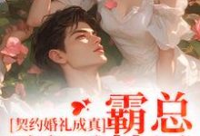 契约婚礼成真,霸总弱不禁风季凌风洛瑶,契约婚礼成真,霸总弱不禁风在线无弹窗阅读-推书酱
