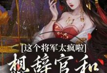 小说《这个将军太疯啦,想辞官和夫人贴贴》章节免费阅读-推书酱