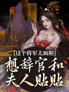 小说《这个将军太疯啦，想辞官和夫人贴贴》章节免费阅读