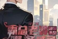 完结版《如果不是霸总老婆我还是一条咸鱼》章节目录在线阅读-推书酱