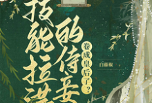 技能拉满的侍妾,卷成皇后了?这本小说怎么样?免费在线阅读试试-推书酱