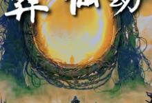 葬仙：开局坠入深渊，我来重开仙路林皇小说大结局免费试读-推书酱