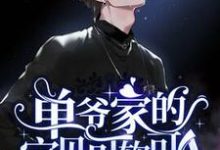 单爷家的宝贝可软可A小说阅读,单爷家的宝贝可软可A完结版-推书酱