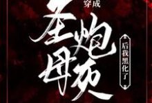沈知白贺栖小说完结版在线阅读,【末世】穿成圣母炮灰后我黑化了免费看-推书酱
