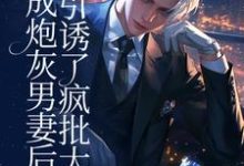 穿成炮灰男妻后，引诱了疯批大佬小说阅读，穿成炮灰男妻后，引诱了疯批大佬完结版-推书酱