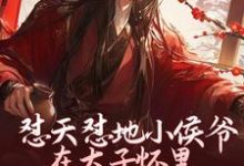 已完结小说《怼天怼地小侯爷在太子怀里装柔弱》最新章节-推书酱