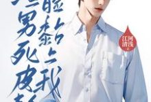 离婚后,渣男死皮赖脸黏上我小说的免费电子版在哪里可以下载或阅读?-推书酱