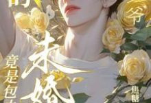 寻找找的帅“少爷’竟是包办婚姻未婚夫小说的最新更新章节-推书酱