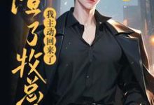 《渣了牧总后,我主动回来了》小说免费阅读完整版-推书酱