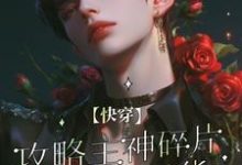 陆笙沈霖辰小说完结版在线阅读,【快穿】攻略主神碎片后我想退货免费看-推书酱