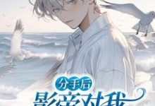 顾止兰展鹏小说完整版《分手后,影帝对我高调示爱》免费阅读-推书酱