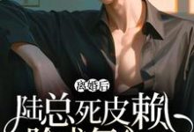 已完结小说《离婚后,陆总死皮赖脸求复合》在线章节阅读-推书酱