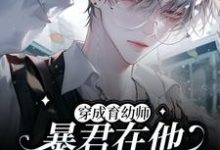 沈瑜贺阑小说穿成育幼师,暴君在他怀里任撸章节免费阅读-推书酱