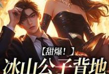 小说《甜爆!冰山公子背地是个男妖精》在线章节阅读-推书酱
