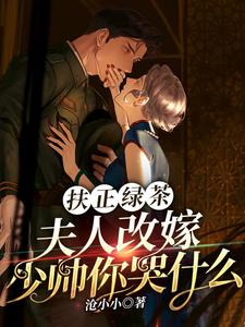 扶正绿茶？夫人改嫁少帅你哭什么完整版小说，扶正绿茶？夫人改嫁少帅你哭什么免费阅读