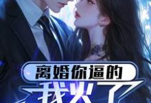 完整版的离婚你逼的，我火了你哭什么？小说在哪里可以免费读到？-推书酱
