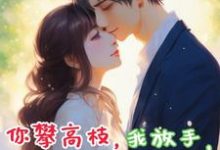 你攀高枝，我放手，你后悔什么？这本小说在哪里可以看？哪里有免费试读章节？-推书酱