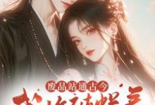 书文君沈景澄小说免费阅读完整版-推书酱