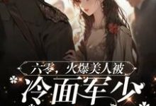 小说《六零,火爆美人被冷面军少求亲亲》完整版在线章节免费阅读-推书酱