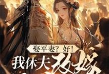 娶平妻?好!我休夫改嫁王爷给你看小说的免费电子版在哪里可以下载或阅读?-推书酱