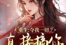 重生：夺我一切？直接搞你全府免费阅读，重生：夺我一切？直接搞你全府楚昭萧湛-推书酱