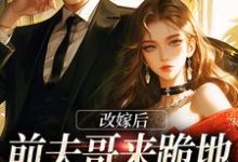林绵绵沈陆晟小说改嫁后，前夫哥来跪地痛哭求原谅在线阅读章节-推书酱