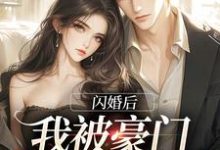 闪婚后,我被豪门老伴宠上天小说的无弹窗阅读体验,寻找免费阅读网站-推书酱