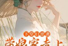 沈韵小说免费阅读完整版-推书酱