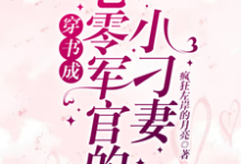 完结版《穿书成七零军官的小刁妻》免费阅读-推书酱
