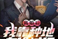 离婚后，我靠种地身价过亿小说的无弹窗阅读体验，寻找免费阅读网站-推书酱