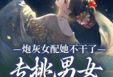 沈书梨小说免费阅读完整版-推书酱
