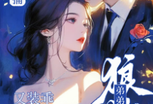 顶级诱捕!狼狗弟弟他又装乖撩我沐宛况野小说完结版章节在线阅读-推书酱