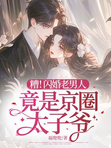 糟！闪婚老男人竟是京圈太子爷小说阅读，糟！闪婚老男人竟是京圈太子爷完结版