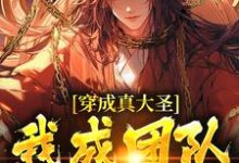 孙小空完整版小说免费阅读-推书酱