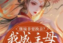 哪里能找到继妹非要换亲?我成主母她悔哭了小说的全部章节?-推书酱