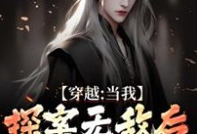 穿越：当我探案无敌后，身份被爆了小说的无弹窗阅读体验，寻找免费阅读网站-推书酱