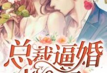 寻找能够免费阅读总裁逼婚100次小说的平台-推书酱