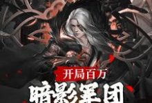 开局百万暗影军团！缔造不朽帝朝免费阅读，开局百万暗影军团！缔造不朽帝朝章节在线阅读-推书酱